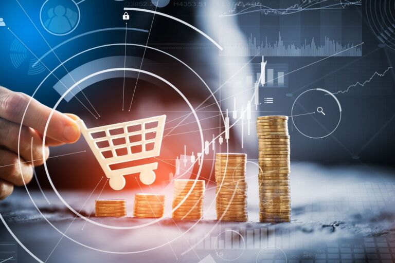 E Commerce vs Drop Shipping