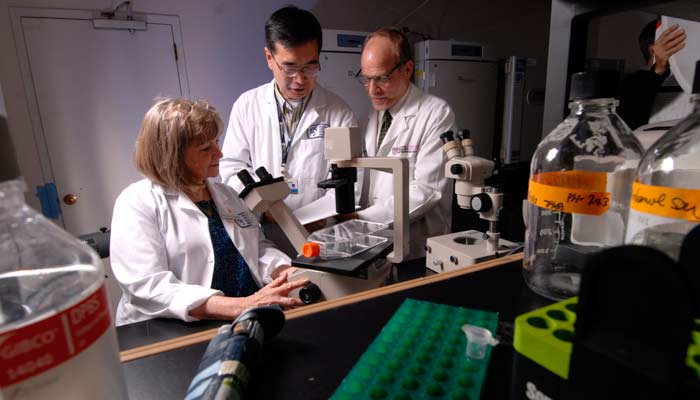 This photo is of researchers from Brigham and Women&rsquo;s Hospital in a laboratory investigating stem ce