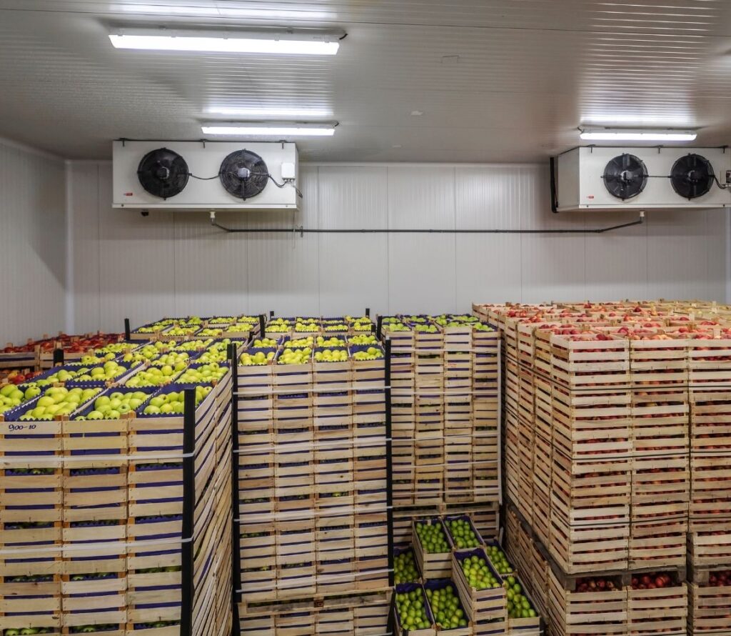At OLIMP Warehousing, we specialize in providing tailored cold storage solutions to meet the unique needs of your business, from food safety to biotechnological storage. Our state-of-the-art facilities ensure secure, efficient, and reliable product storage.